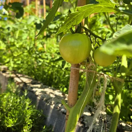 Landhuis Rural Valle De Cuana *