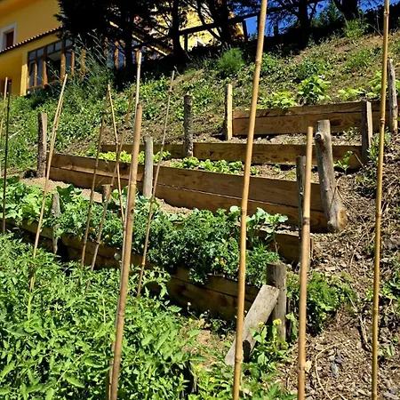 Rural Valle De Cuana * Santibanez de Murias